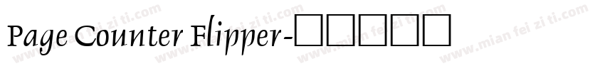 Page Counter Flipper字体转换